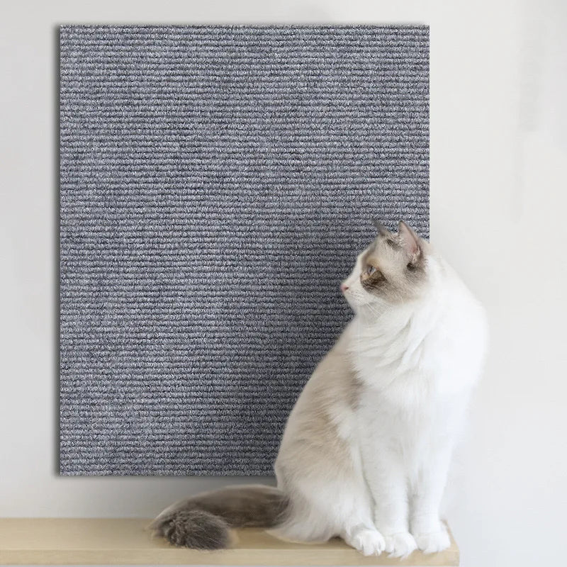 Self-Adhesive Scratch Carpet